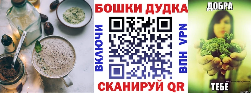 где купить   Кологрив  Canna-Cookies конопля 