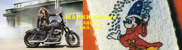 сатива Балахна