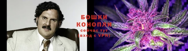 сатива Балахна