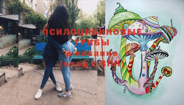 сатива Балахна