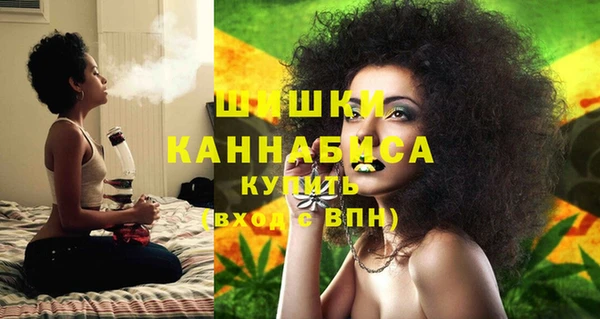 сатива Балахна