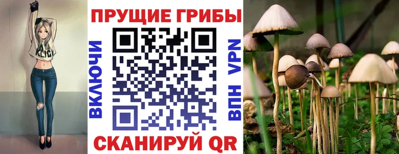 Псилоцибиновые грибы MAGIC MUSHROOMS  Кологрив 