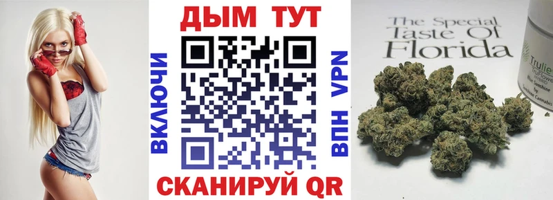 Конопля Amnesia  Кологрив 